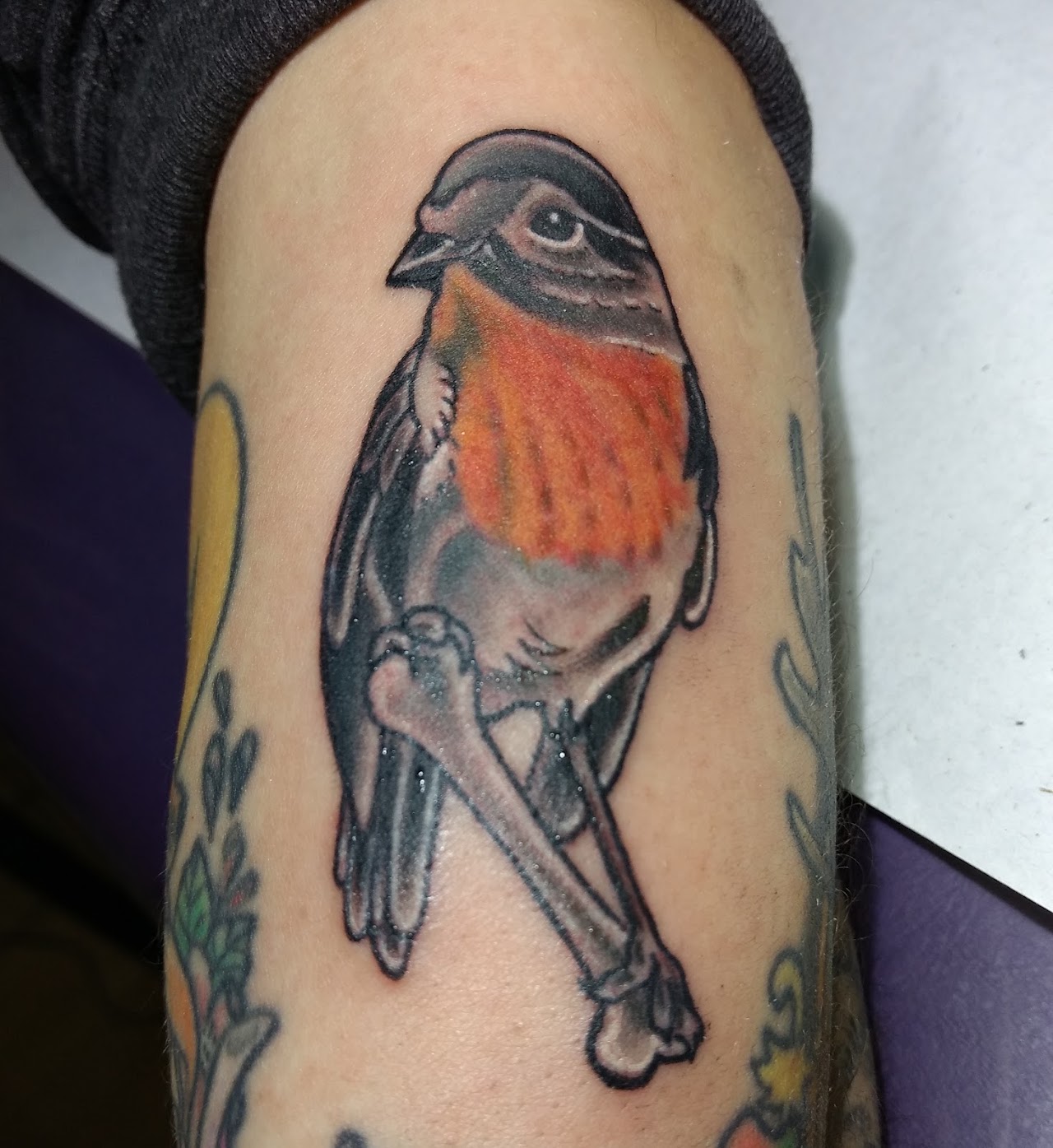 Tatuaje de ave a color realizado en Dosho Tattoo Supply